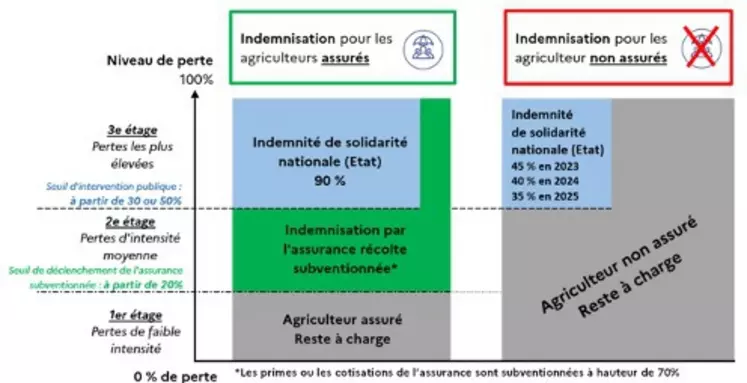 découvrez comment les assurances risques climatiques peuvent protéger votre patrimoine face aux aléas météorologiques. protégez-vous des intempéries et gérez vos risques grâce à des solutions adaptées et spécifiques aux enjeux environnementaux.