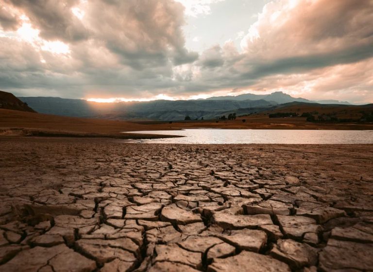découvrez comment le changement climatique influence les tarifs d'assurance dans les vosges. analyse des risques, facteurs économiques et conseils pour anticiper l'impact sur votre couverture. informez-vous sur les enjeux environnementaux et leurs conséquences financières.