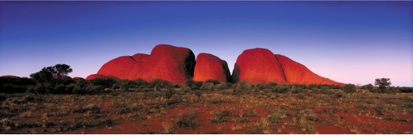 L’Australie face à un tournant en matière d’assurance habitation : des leçons à tirer de l’audacieuse initiative californienne