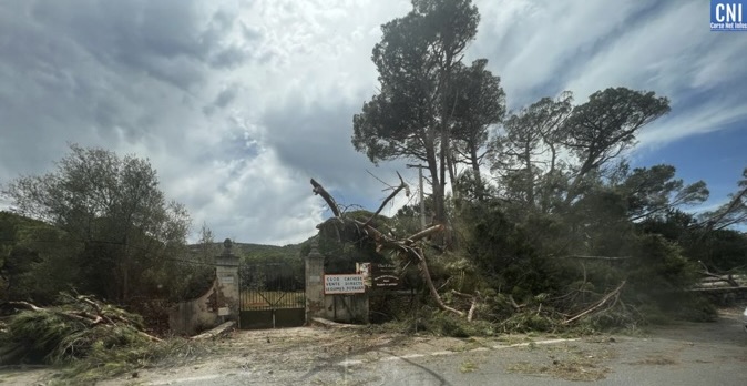 découvrez tout ce qu'il faut savoir sur l'indemnisation après une tempête : conditions, démarches, délais et conseils pour obtenir une prise en charge rapide de vos dommages.